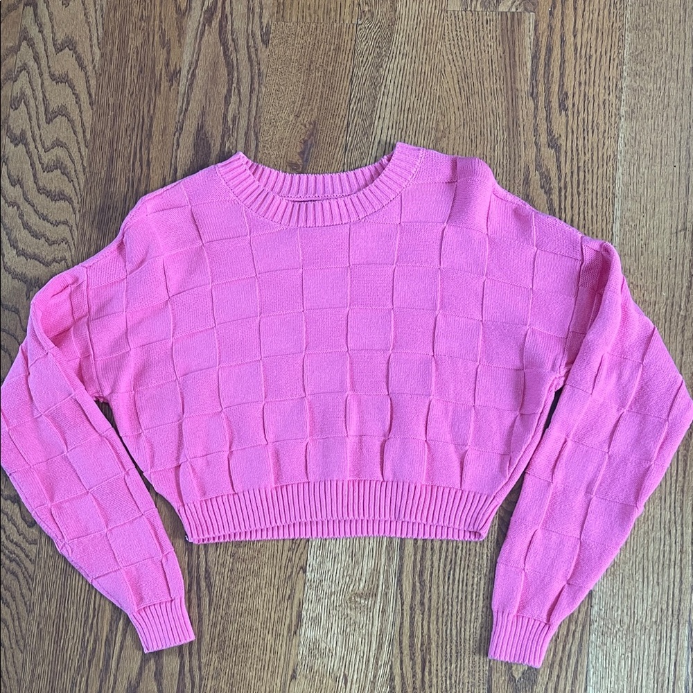 Hollister Bright Pink Crew Neck Sweater